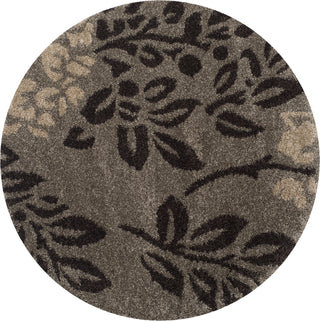 Safavieh Shag SG456 Smoke/Dark Brown Area Rug 