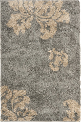 Safavieh Shag SG458 Grey/Beige Area Rug main image