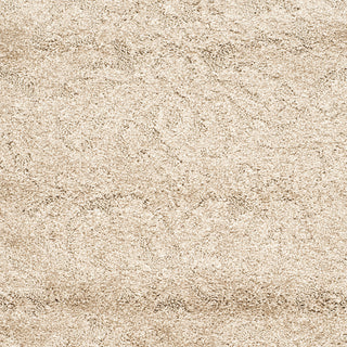 Safavieh Shag SG460 Beige/Cream Area Rug 