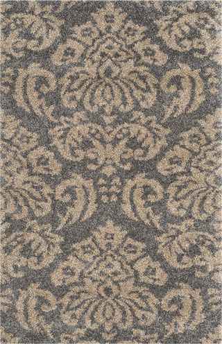 Safavieh Shag SG460 Grey/Beige Area Rug main image