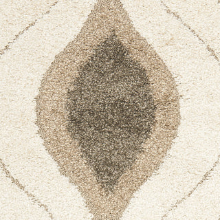 Safavieh Shag SG461 Cream/Smoke Area Rug 