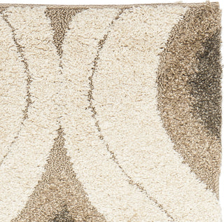 Safavieh Shag SG461 Cream/Smoke Area Rug 