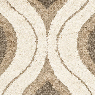 Safavieh Shag SG461 Cream/Smoke Area Rug 