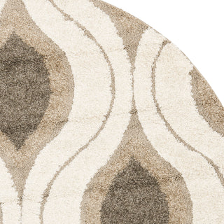 Safavieh Shag SG461 Cream/Smoke Area Rug 