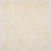 Safavieh Shag Paris Ivory Area Rug Square