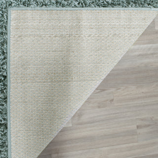 Safavieh Athens Shag SGA119D Seafoam Area Rug 