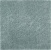 Safavieh Athens Shag SGA119D Seafoam Area Rug 