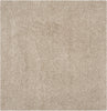 Safavieh Athens Shag SGA119G Beige Area Rug 