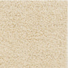 Safavieh Sga-athens Shag SGA119I Ivory Area Rug 