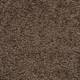 Safavieh Sga-athens Shag SGA119T Taupe Area Rug 