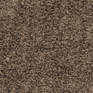 Safavieh Sga-athens Shag SGA119T Taupe Area Rug 