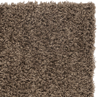 Safavieh Sga-athens Shag SGA119T Taupe Area Rug 