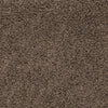 Safavieh Sga-athens Shag SGA119T Taupe Area Rug 