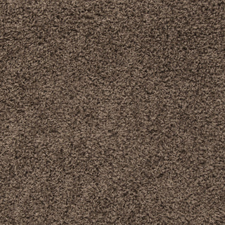 Safavieh Sga-athens Shag SGA119T Taupe Area Rug 