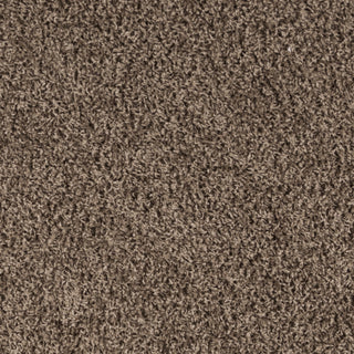 Safavieh Sga-athens Shag SGA119T Taupe Area Rug 