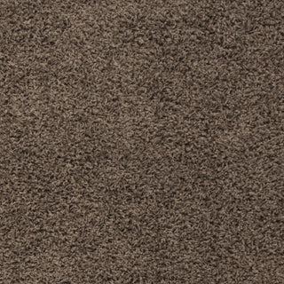 Safavieh Sga-athens Shag SGA119T Taupe Area Rug 