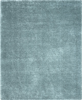 Safavieh Charlotte Shag SGC720D Light Blue Area Rug 