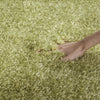 Safavieh Charlotte Shag SGC720F Green Area Rug 