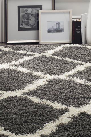 Safavieh Dallas Shag SGD257A Dark Grey/Ivory Area Rug 