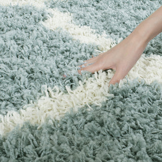 Safavieh Dallas Shag SGD257C Seafoam/Ivory Area Rug 