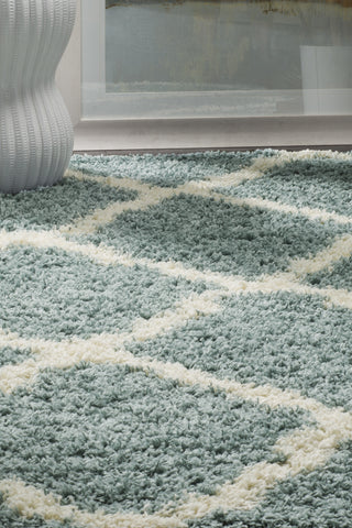 Safavieh Dallas Shag SGD257C Seafoam/Ivory Area Rug 