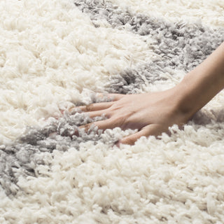 Safavieh Dallas Shag SGD257F Ivory/Grey Area Rug 