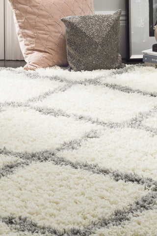 Safavieh Dallas Shag SGD257F Ivory/Grey Area Rug 