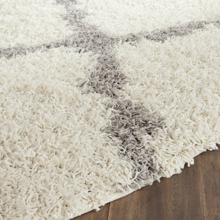 Safavieh Dallas Shag SGD257F Ivory/Grey Area Rug 