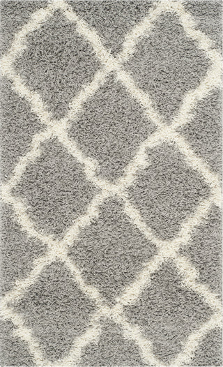 Safavieh Dallas Shag SGD257G Grey/Ivory Area Rug 