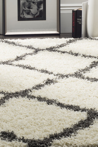 Safavieh Dallas Shag SGD257H Ivory/Dark Grey Area Rug 