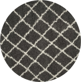 Safavieh Dallas Shag SGD258A Dark Grey/Ivory Area Rug 