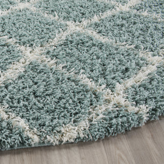 Safavieh Dallas Shag SGD258C Seafoam/Ivory Area Rug 