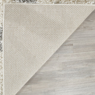 Safavieh Dallas Shag SGD258F Ivory/Grey Area Rug 