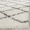 Safavieh Dallas Shag SGD258H Ivory/Dark Grey Area Rug 