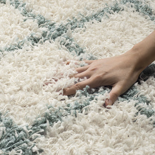 Safavieh Dallas Shag SGD258J Ivory/Seafoam Area Rug 