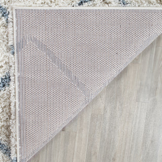 Safavieh Dallas Shag SGD258J Ivory/Seafoam Area Rug 