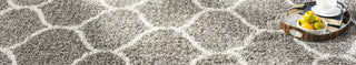 Safavieh Hudson Shag SGH280B Grey/Ivory Area Rug 