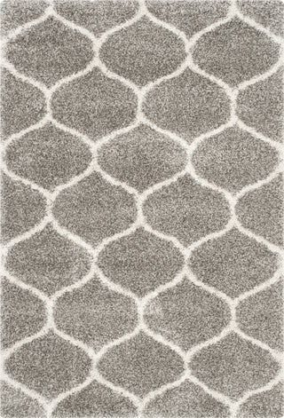 Safavieh Hudson Shag SGH280B Grey/Ivory Area Rug main image