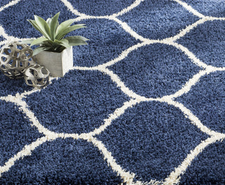 Safavieh Hudson Shag SGH280C Navy/Ivory Area Rug  Feature