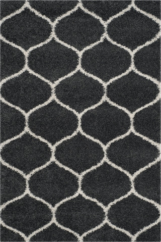 Safavieh Hudson Shag SGH280G Dark Grey/Ivory Area Rug main image