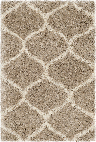 Safavieh Hudson Shag SGH280S Beige/Ivory Area Rug 