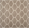 Safavieh Hudson Shag SGH280S Beige/Ivory Area Rug 