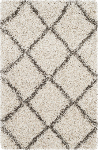 Safavieh Hudson Shag SGH281A Ivory/Grey Area Rug 