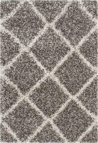 Safavieh Hudson Shag SGH281B Grey/Ivory Area Rug 