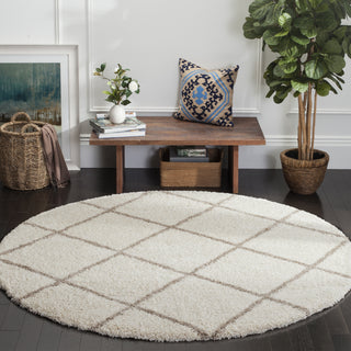 Safavieh Hudson Shag SGH281D Ivory/Beige Area Rug 