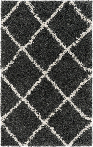 Safavieh Hudson Shag SGH281G Dark Grey/Ivory Area Rug 