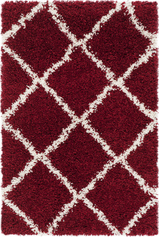 Safavieh Hudson Shag SGH281R Red/Ivory Area Rug 