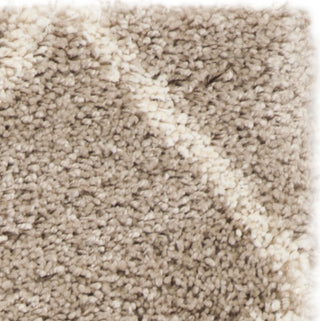 Safavieh Hudson Shag SGH281S Beige/Ivory Area Rug 