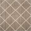 Safavieh Hudson Shag SGH281S Beige/Ivory Area Rug 