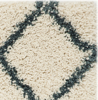 Safavieh Hudson Shag SGH281T Ivory/Slate Blue Area Rug 